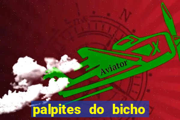 palpites do bicho no celular